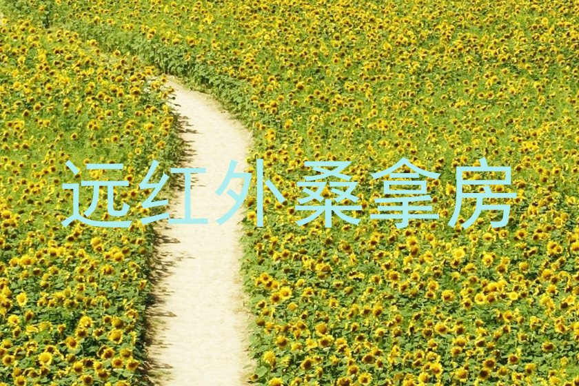 远红外桑拿房