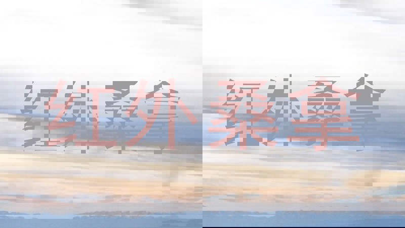 红外桑拿