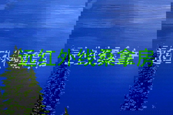 远红外线桑拿房