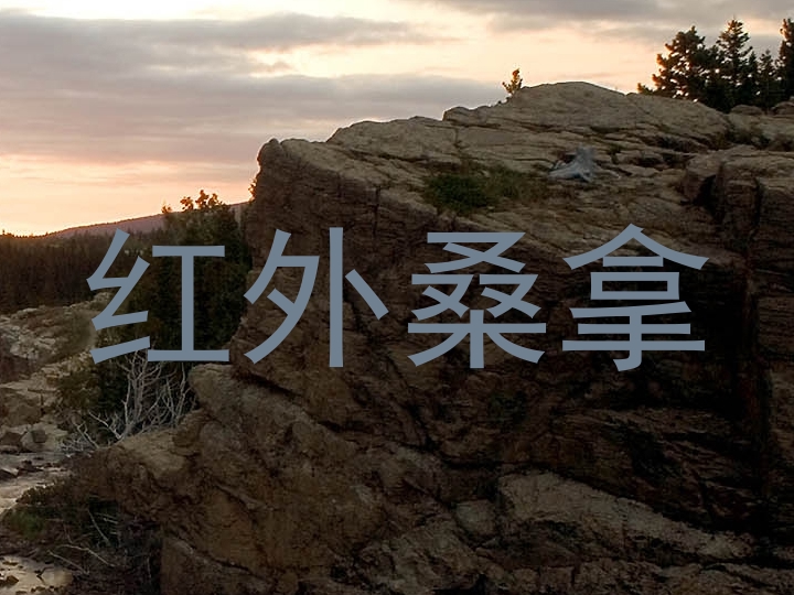 红外桑拿