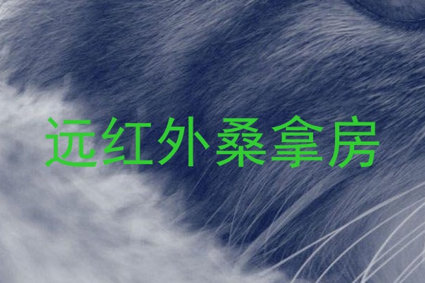 远红外桑拿房