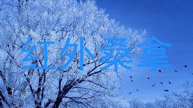 红外桑拿