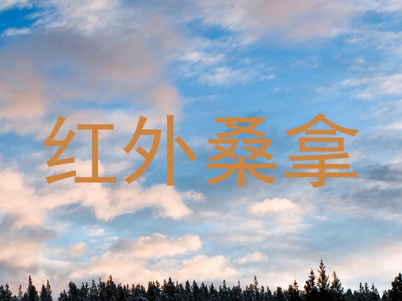 红外桑拿