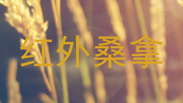 红外桑拿