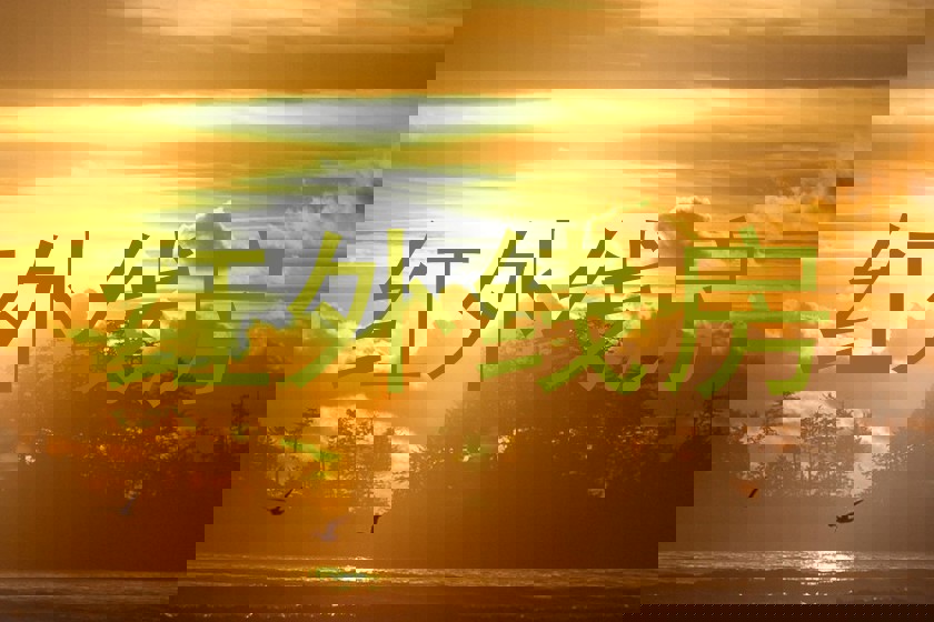红外线房