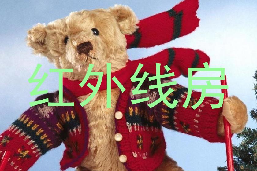 红外线房