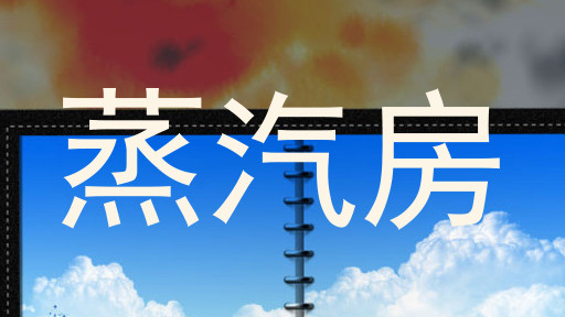 蒸汽房