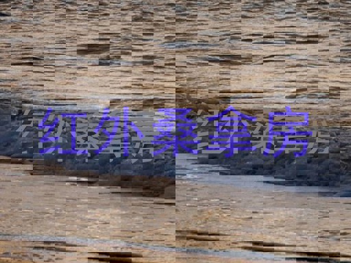 红外桑拿房