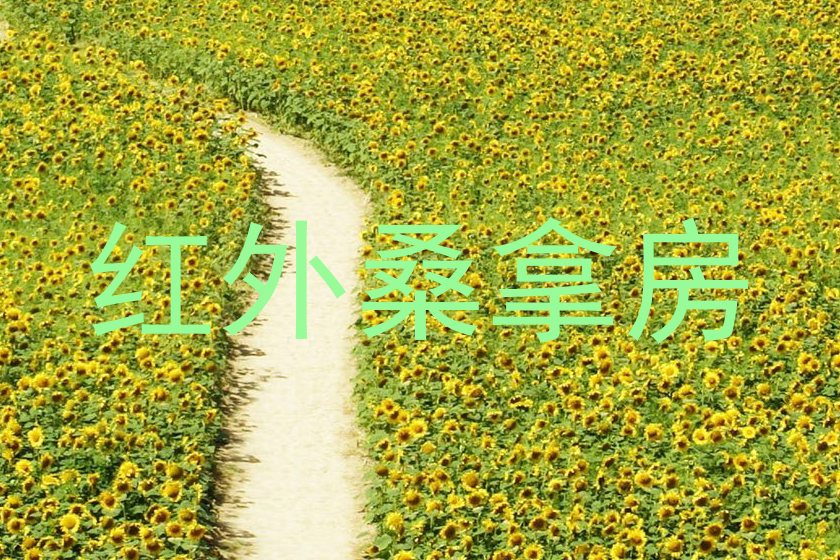 红外桑拿房