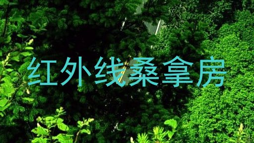 红外线桑拿房