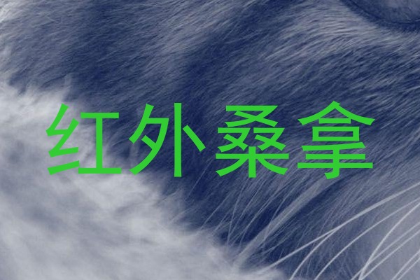红外桑拿