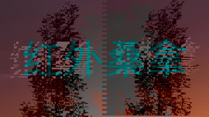 红外桑拿