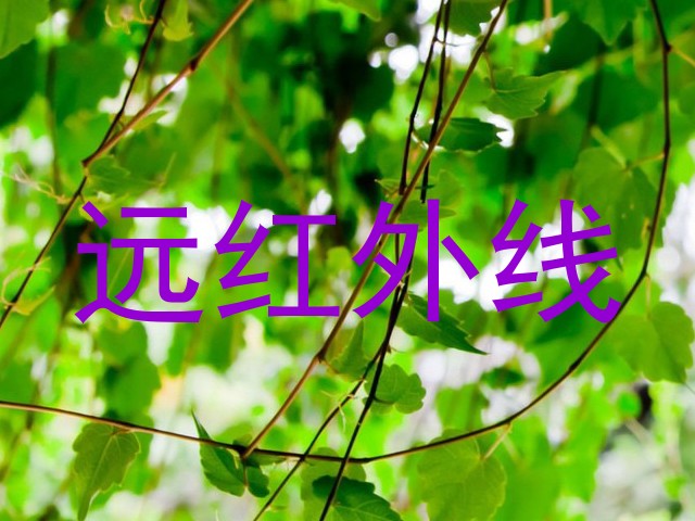 远红外线