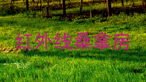 红外线桑拿房