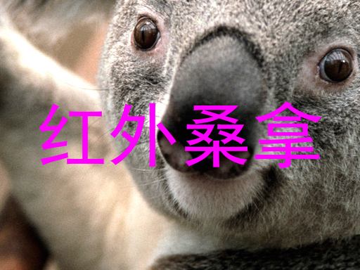 红外桑拿