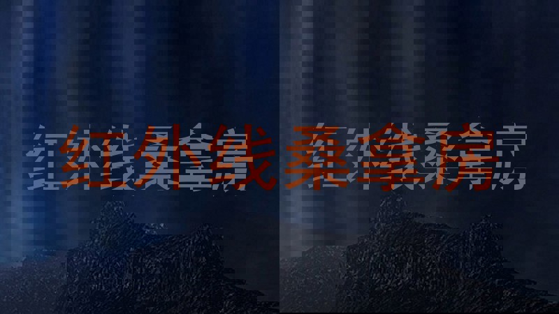 红外线桑拿房