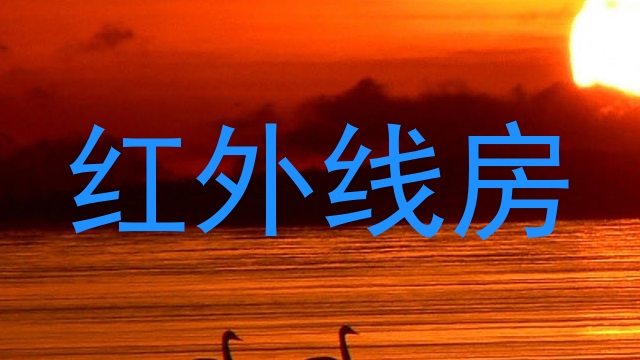 红外线房