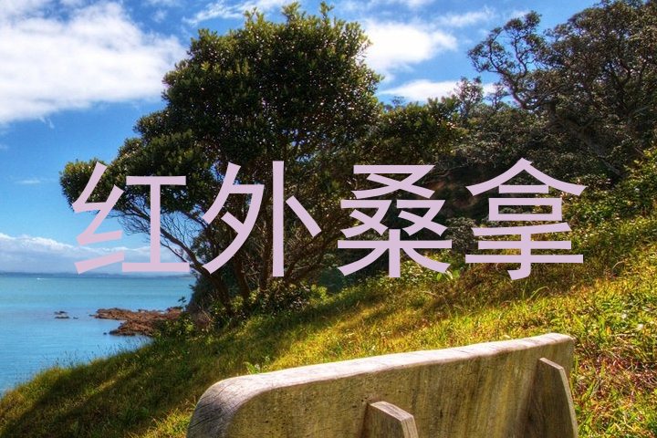红外桑拿