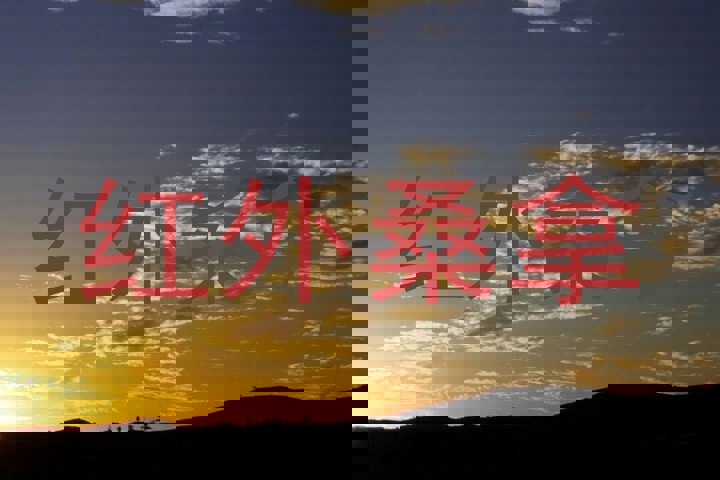 红外桑拿