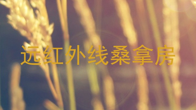 远红外线桑拿房