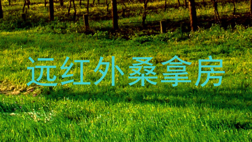 远红外桑拿房