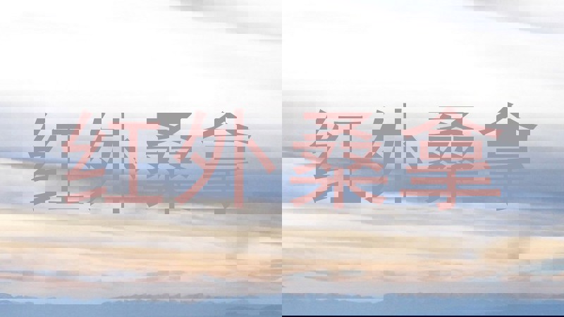 红外桑拿