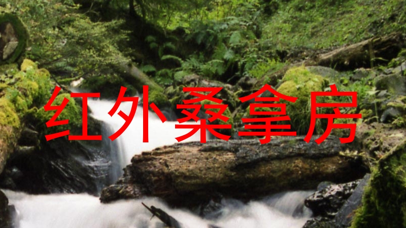 红外桑拿房