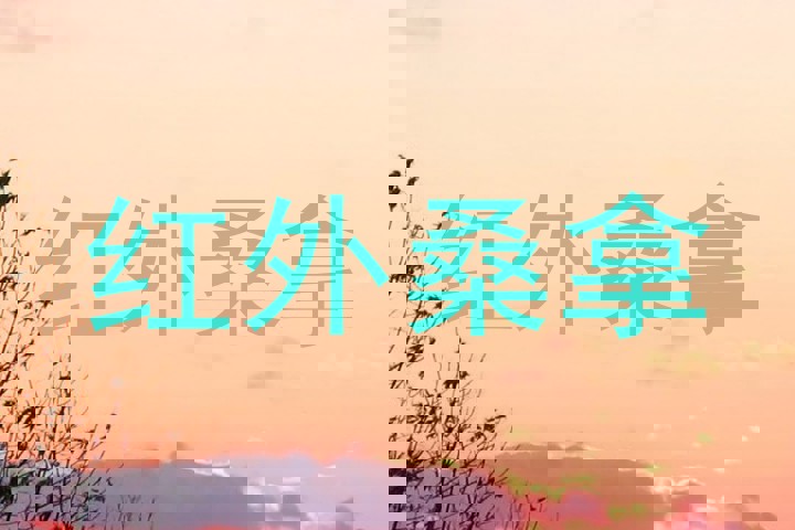 红外桑拿