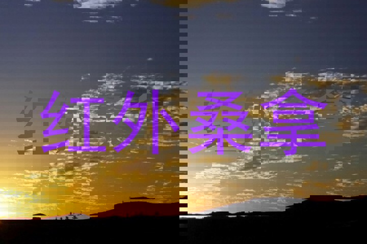 红外桑拿