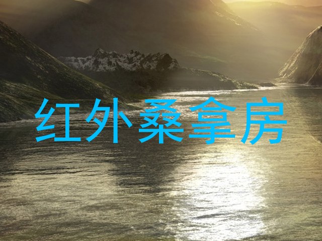 红外桑拿房