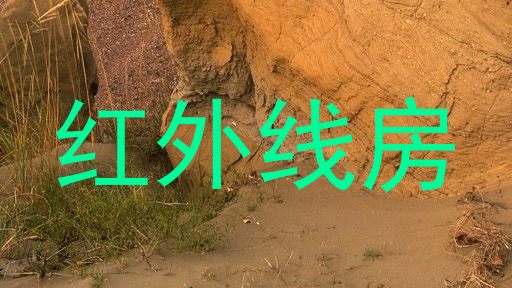 红外线房