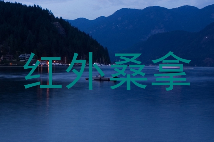 红外桑拿