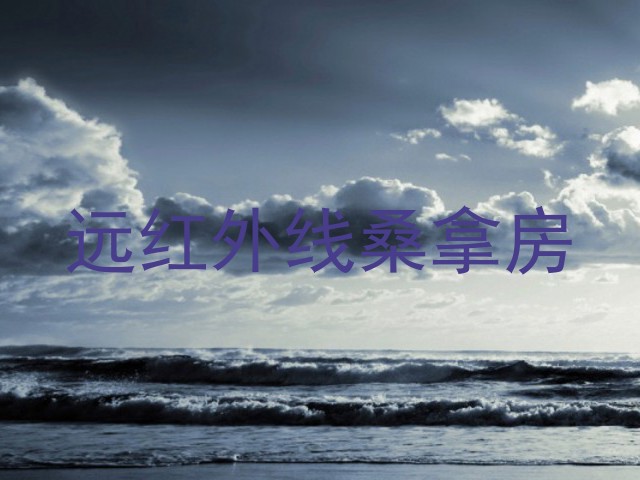 远红外线桑拿房