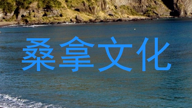 桑拿文化