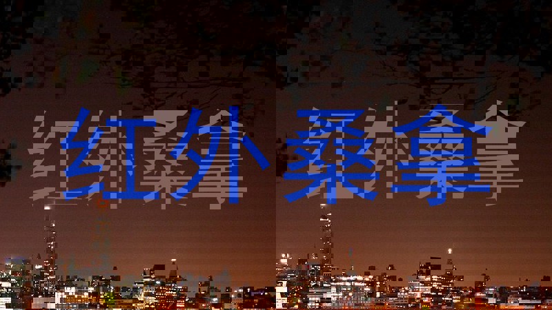 红外桑拿