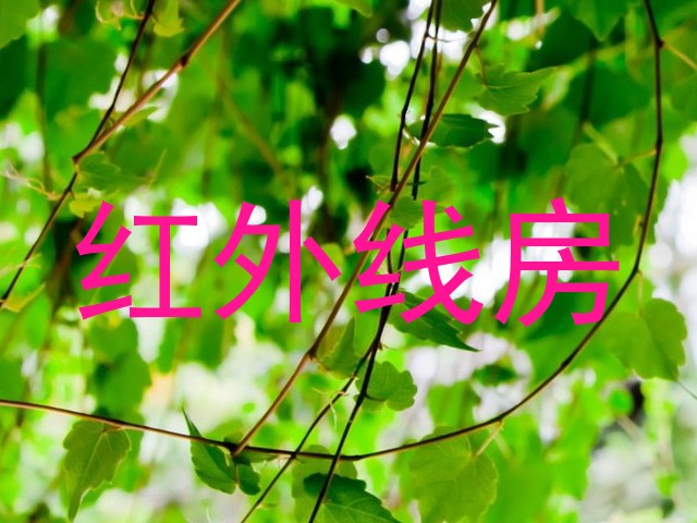 红外线房