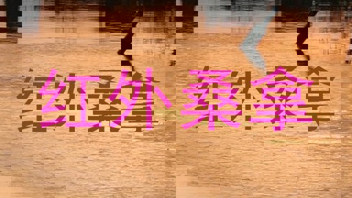 红外桑拿