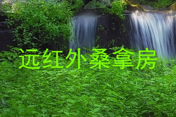 远红外桑拿房
