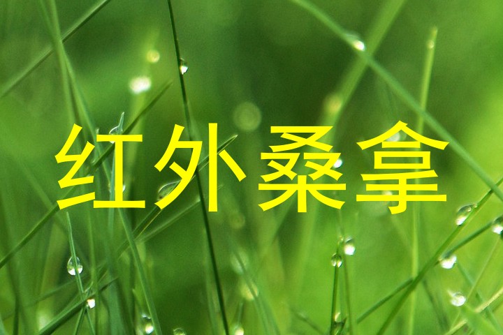 红外桑拿