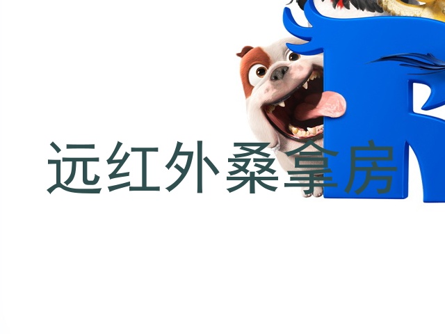 远红外桑拿房