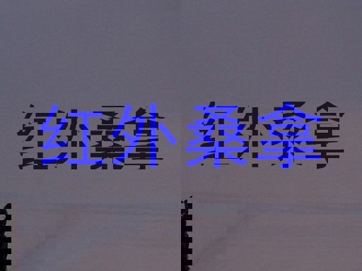 红外桑拿