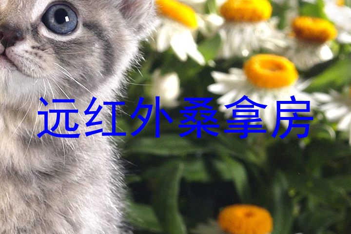 远红外桑拿房