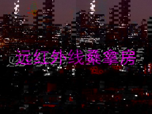 远红外线桑拿房