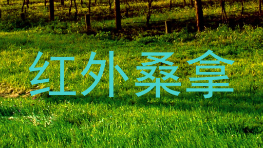 红外桑拿