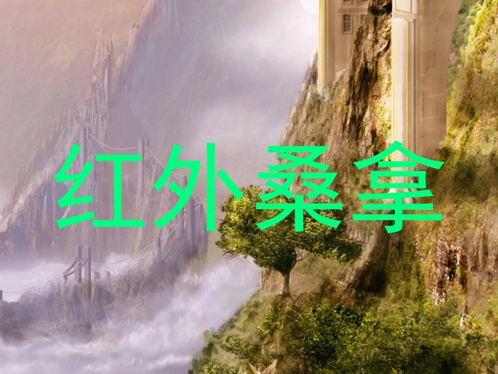 红外桑拿