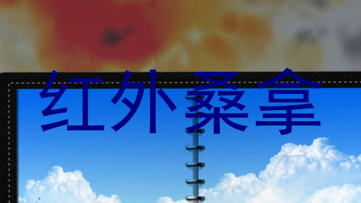 红外桑拿
