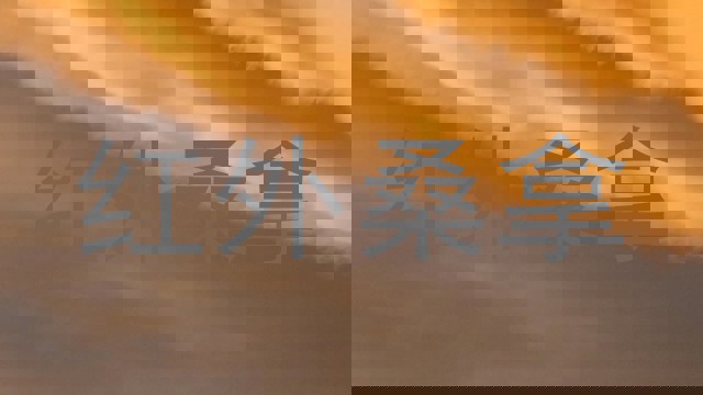 红外桑拿