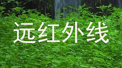 远红外线