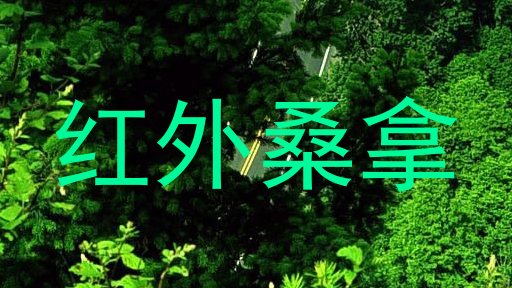 红外桑拿