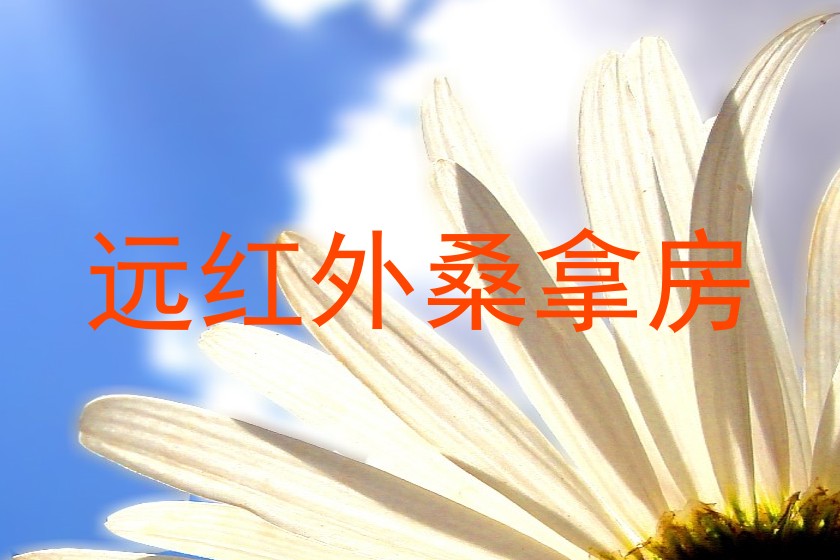 远红外桑拿房
